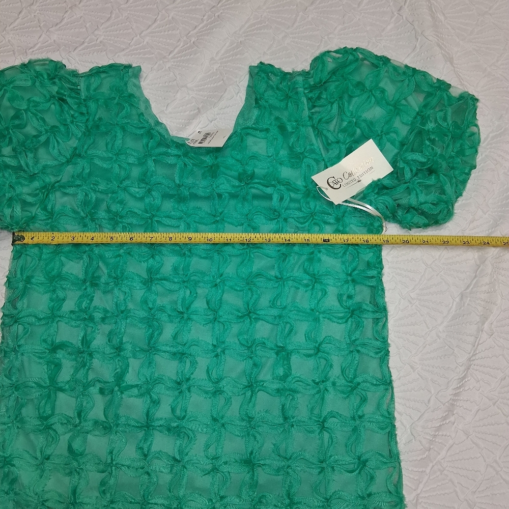Cato Collection Limited Edition Chic Textured Green Blouse Size M - Picture 5 of 16